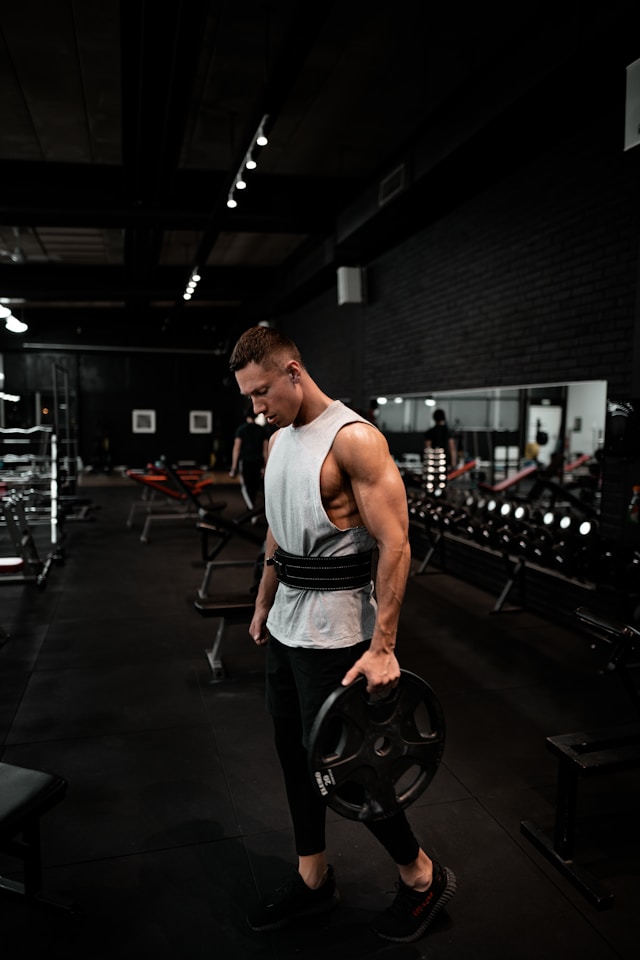 Fit Gear Hub - Nicolas Sweeter