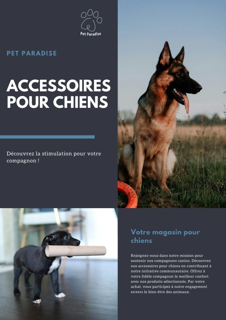 Pet Paradise - Newsletter